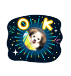 ばるどん2(   ˙-˙   )（個別スタンプ：4）