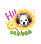 ばるどん2(   ˙-˙   )（個別スタンプ：8）