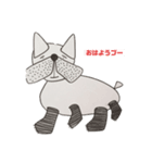 フレンチブルドックファミリー❣️（個別スタンプ：1）