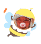 えぃちゃん！（個別スタンプ：3）