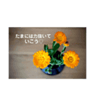 あいぷ（個別スタンプ：5）