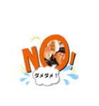 RRM11（個別スタンプ：7）