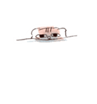 耳があんまりない猫のスタンプ（個別スタンプ：16）