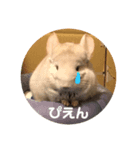 たんけーさんちのチル（個別スタンプ：1）