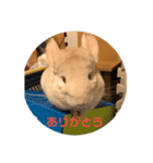 たんけーさんちのチル（個別スタンプ：3）