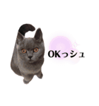 はるのスタンプ使いやすいでしょ？（個別スタンプ：15）