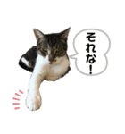 ボクは大ちゃん（個別スタンプ：7）