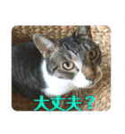 ボクは大ちゃん（個別スタンプ：21）