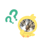 ボクは大ちゃん（個別スタンプ：23）
