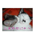 白黒ゆん太のつぶやき（個別スタンプ：3）