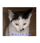 白黒ゆん太のつぶやき（個別スタンプ：5）