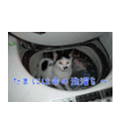 白黒ゆん太のつぶやき（個別スタンプ：14）