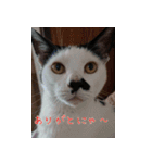 白黒ゆん太のつぶやき（個別スタンプ：15）