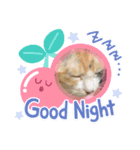 もこちの日常（個別スタンプ：1）
