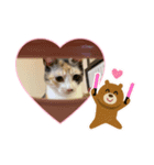 もこちの日常（個別スタンプ：3）