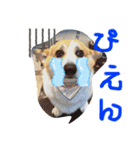 嵐の愛嬌PART②（個別スタンプ：7）