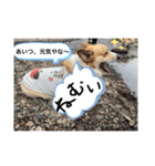 嵐の愛嬌PART②（個別スタンプ：8）