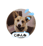 嵐の愛嬌PART②（個別スタンプ：10）