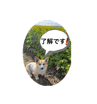 嵐の愛嬌PART②（個別スタンプ：14）