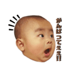 chukepi❸（個別スタンプ：5）