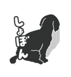 レア犬コッカプーさん（黒）（個別スタンプ：17）