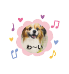 くぅちゃんと一緒（個別スタンプ：2）