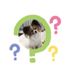 くぅちゃんと一緒（個別スタンプ：9）