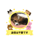 くぅちゃんと一緒（個別スタンプ：10）