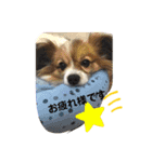 くぅちゃんと一緒（個別スタンプ：11）