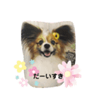 くぅちゃんと一緒（個別スタンプ：15）