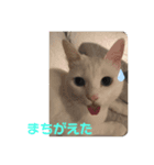 白猫にゃ〜です（個別スタンプ：7）