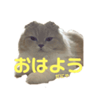 lunaスタンプ♪（個別スタンプ：4）