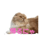 lunaスタンプ♪（個別スタンプ：6）