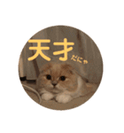 lunaスタンプ♪（個別スタンプ：9）