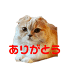 lunaスタンプ♪（個別スタンプ：14）