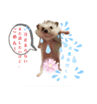 ハリネズミのカクタス君（個別スタンプ：3）