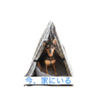 Adors（個別スタンプ：2）