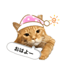 マチネとソワレ（個別スタンプ：1）