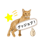 マチネとソワレ（個別スタンプ：2）