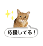 マチネとソワレ（個別スタンプ：4）