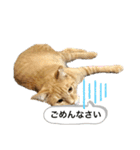マチネとソワレ（個別スタンプ：6）