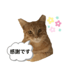 マチネとソワレ（個別スタンプ：10）