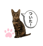 マチネとソワレ（個別スタンプ：11）