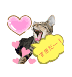 マチネとソワレ（個別スタンプ：13）