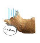 マチネとソワレ（個別スタンプ：15）
