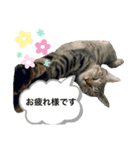 マチネとソワレ（個別スタンプ：16）