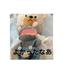 日常的に使える小動物（個別スタンプ：12）