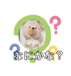 日常的に使える小動物（個別スタンプ：17）