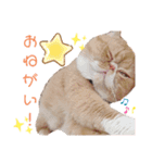 だいずの日常2（個別スタンプ：10）
