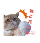 だいずの日常2（個別スタンプ：12）